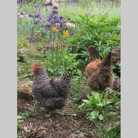 Сasa de vacaciones Zuhaus Schernfeichten Kitzbühel