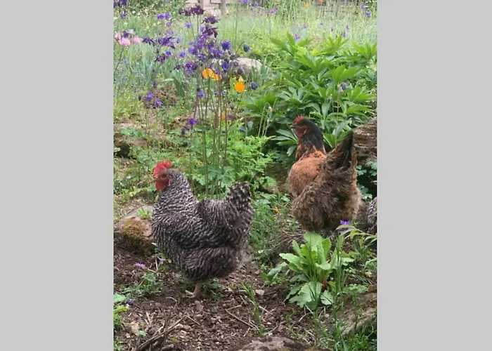 別荘 Zuhaus Schernfeichten キッツビュール